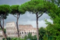 Colesseum looking through trees Royalty Free Stock Photo