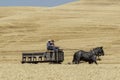 Driving a wagon in a hay field. Royalty Free Stock Photo