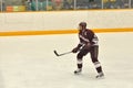 Colgate player in NCAA Ice Hockey Game Royalty Free Stock Photo