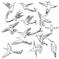 Colibri drawing set Royalty Free Stock Photo