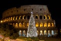 Coliseum and Christmas Tree