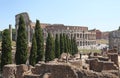The Coliseum in Rome among the ruins and cypresses