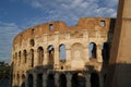 Colisseum in the morning Royalty Free Stock Photo