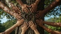 Multicultural Unity for Nature Conservation - Hands on Tree Royalty Free Stock Photo