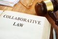 Collaborative law book, gavel and papers Royalty Free Stock Photo