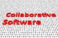 Collaborative software