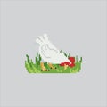 Pixel art Hen Chicken Pecking Grass icon Illustration vector for game design Royalty Free Stock Photo