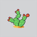 Pixel art Desert Wild Cactus icon Illustration vector for game design Royalty Free Stock Photo