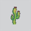 Pixel art Desert Wild Cactus icon Illustration vector for game design Royalty Free Stock Photo
