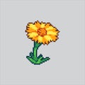 Pixel art Desert Flower Plant icon Illustration vector for game design Royalty Free Stock Photo
