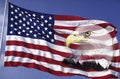 Collage of American Flag and Bald Eagle Royalty Free Stock Photo