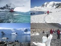 Collage of Antarctica cruise activities Royalty Free Stock Photo