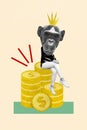 Collage artwork graphics picture of cool confident chimpanzee sitting big coins pile stack isolated beige color