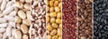 Collage of assorted beans. White, yellow, azuki, brown, rajado and black uncooked beans in panoramic format Royalty Free Stock Photo