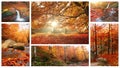 Collage autumn landscapes, amazing mountains views in forest, panoramic and vertical nature scenery Royalty Free Stock Photo