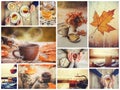 Collage autumn. Selective focus.
