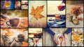 Collage autumn. Selective focus.