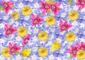 Collage, background, postcard of spring flowers isolated.