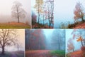 Collage with beautiful views of misty autumn. Royalty Free Stock Photo