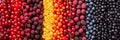 Collage of berries products with divided white vertical lines in bright light minimum 7 segments Royalty Free Stock Photo
