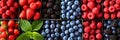 Collage of berries products divided with white vertical lines 7 segments, bright white light Royalty Free Stock Photo