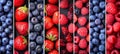 Collage of berry products divided with white vertical lines bright white light, minimum 7 segments Royalty Free Stock Photo