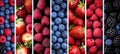 Collage of berry products with white vertical lines divided into 7 bright light white segments Royalty Free Stock Photo