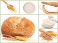 Collage with bread, wheat ears, wheat grains,fresh yeast dough on cutting board with rolling pin Royalty Free Stock Photo
