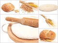 Collage with bread, wheat ears, wheat grains,fresh yeast dough on cutting board with rolling pin Royalty Free Stock Photo