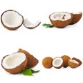 Collage of broken coconut pieces isolated on white background Royalty Free Stock Photo