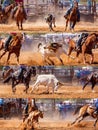 Australian Team Calf Roping Rodeo Collage