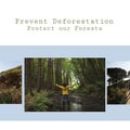 Collage of caucasian explorers enjoying in forest and prevent deforestation, protect our forests