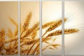 Collage Celebrates The Harvest With Images Of Golden Wheat Royalty Free Stock Photo