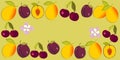 Collage of cherries, plums and apricots on a yellow background in the form of a rectangular frame for text. Banner, postcard,