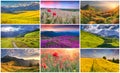 Collage with 9 colorful summer landscapes. Royalty Free Stock Photo