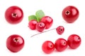 Collage cranberry closeup. Royalty Free Stock Photo