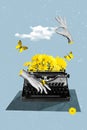 Collage 3d image pinup pop artwork of hands typing copywriter mechanical vintage keyboard yellow bouquet daisy isolated