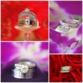 Collage Of Diamond Wedding Rings