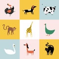 Collage of different kinds of animals Royalty Free Stock Photo