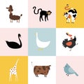 Collage of different kinds of animals