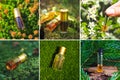 Collage from different pictures of Arabian oud attar perfume or agarwood oil fragrances in mini bottles Royalty Free Stock Photo
