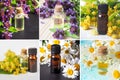 Collage from different pictures of natural oils for relaxation and medicine