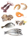 Collage with different seafood on white