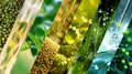 A collage of different types of biofuels including photos of their sources such as soybeans sugarcane and algae.