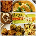 Collage of different types of delicious indian dishes