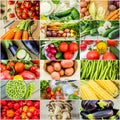 Collage of different vegetables. Vegetarian food. Royalty Free Stock Photo