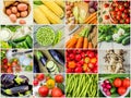 Collage of different vegetables. Vegetarian food. Royalty Free Stock Photo