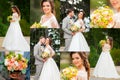 Collage of elegant happy sensual wedding at sunny day Royalty Free Stock Photo