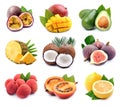 Collage of exotic fruits Royalty Free Stock Photo