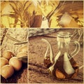 Collage of extra virgin olive oil Royalty Free Stock Photo